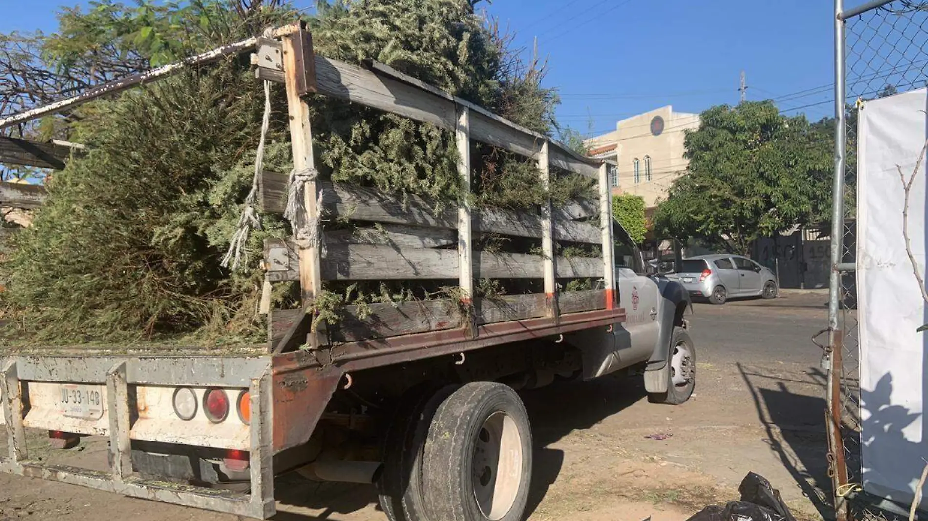 arbolitos de navidad